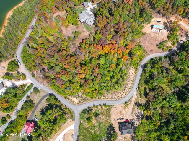 LOT75 Stone Bridge Dr, Dandridge, TN 37725