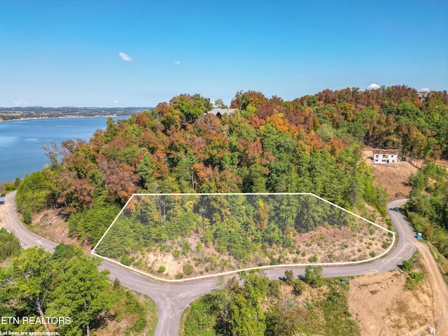 LOT75 Stone Bridge Dr, Dandridge, TN 37725