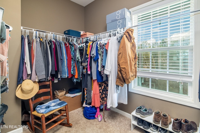 spacious closet featuring carpet floors