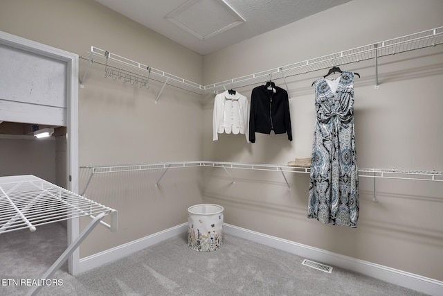 spacious closet featuring carpet, visible vents, and attic access