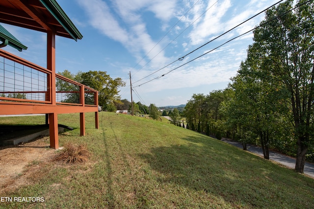 view of yard