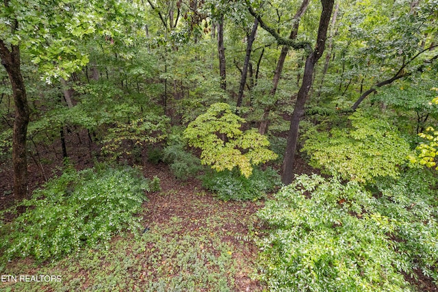 122 Vinita Ln, Loudon, TN 37774 - view of landscape with a view of trees