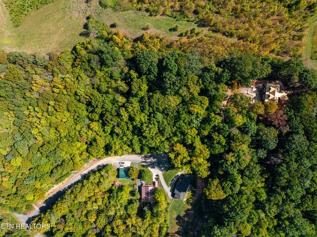 319 Muscadine Ct, Sevierville, TN 37876 - photo 1