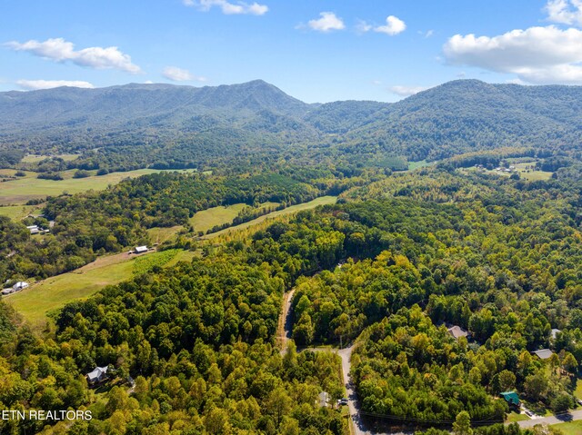 319 Muscadine Ct, Sevierville, TN 37876 - photo 3