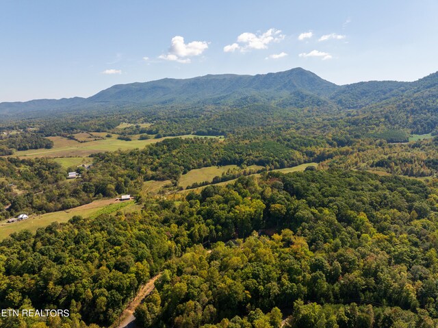 319 Muscadine Ct, Sevierville, TN 37876 - photo 4