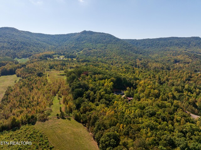 319 Muscadine Ct, Sevierville, TN 37876 - photo 5