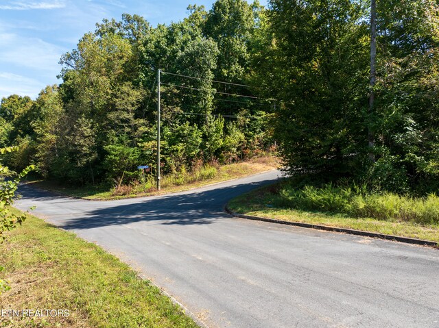 319 Muscadine Ct, Sevierville, TN 37876 - photo 6