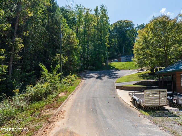 319 Muscadine Ct, Sevierville, TN 37876 - photo 7