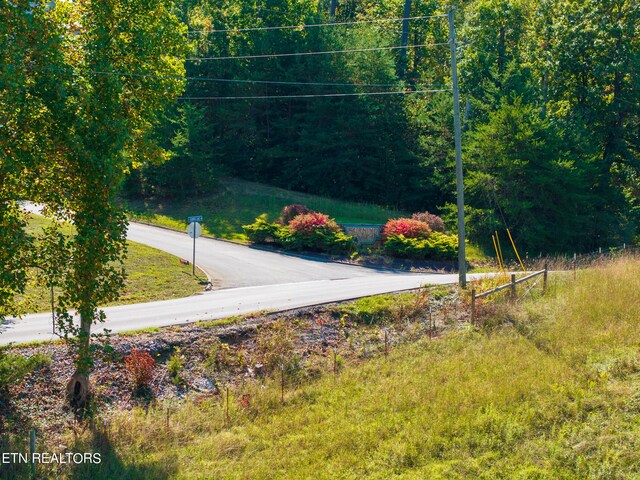 319 Muscadine Ct, Sevierville, TN 37876 - photo 8