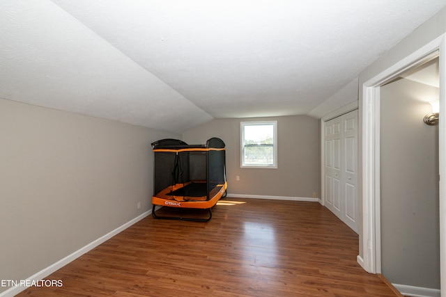 bonus room with wood-type flooring and lofted ceiling