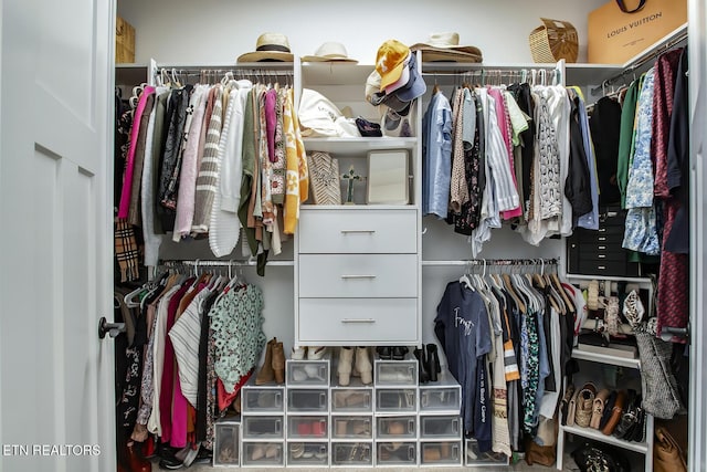 view of walk in closet