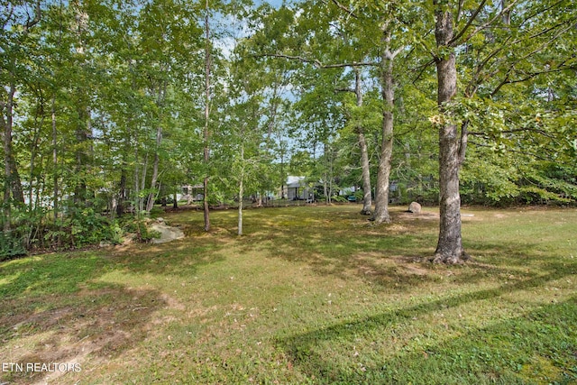view of yard