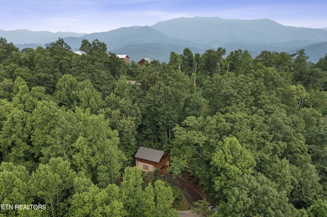 exterior space with a mountain view