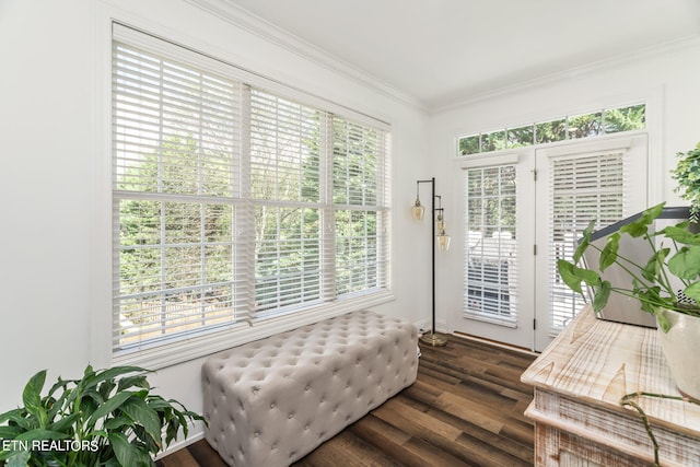 interior space featuring dark wood-type flooring and crown molding