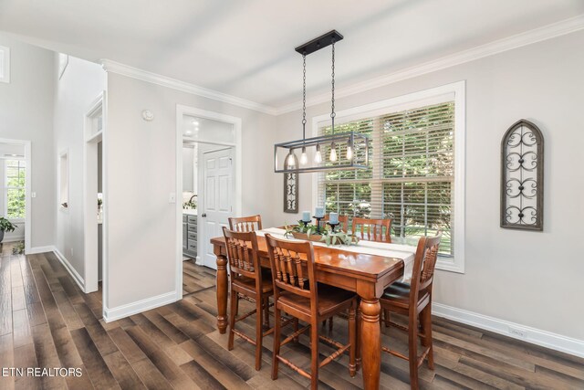 dining space featuring dark hardwood / wood-style floors and crown molding