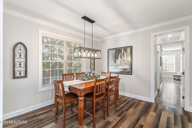 dining area with crown molding and dark hardwood / wood-style floors