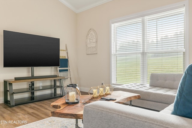 living room with wood-type flooring and crown molding