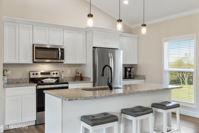 kitchen with a wealth of natural light, a kitchen island with sink, stainless steel appliances, and white cabinets