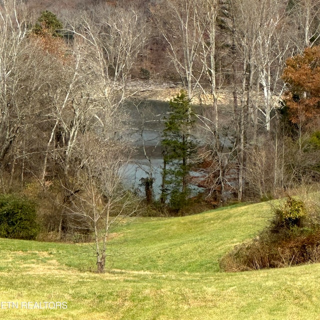 Bob Wright, Maynardville TN, 37807 land for sale