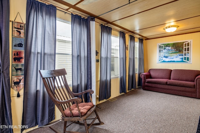 living area with carpet, plenty of natural light, and crown molding