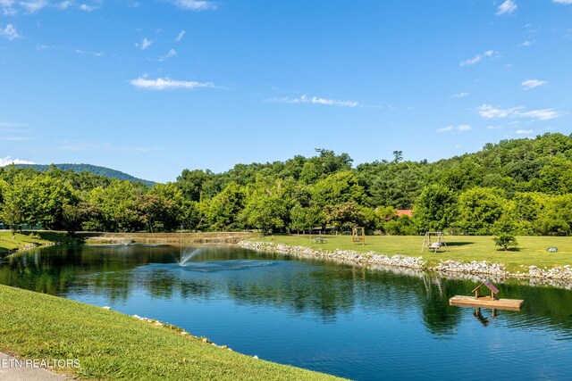 property view of water