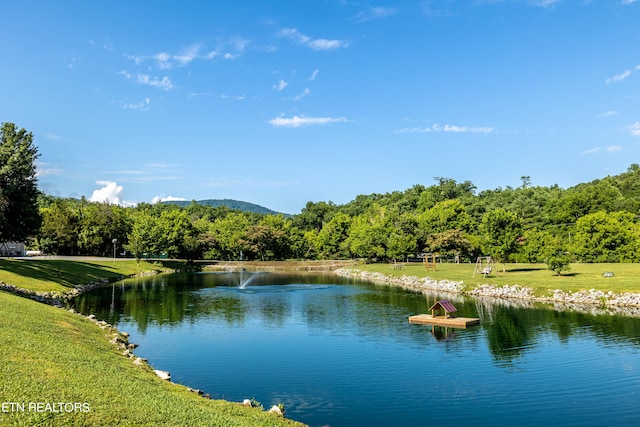 view of water feature