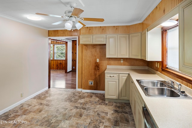 kitchen with ceiling fan, ornamental molding, sink, and wooden walls