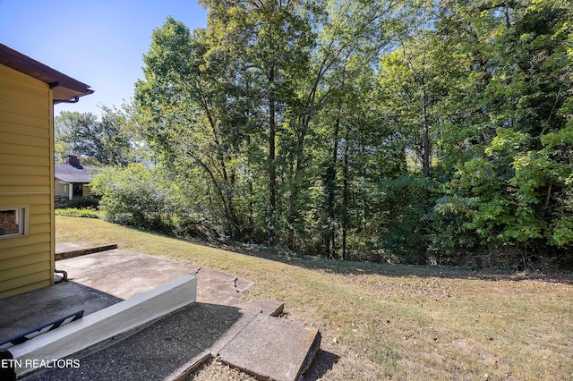 view of yard with a patio area