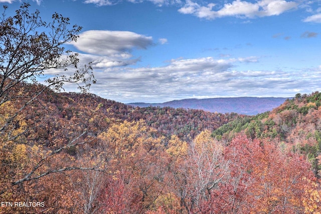 view of mountain feature