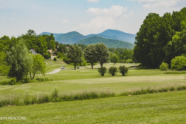 view of community featuring a lawn and a mountain view