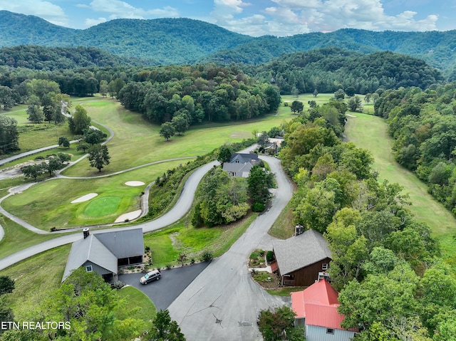 drone / aerial view featuring a mountain view