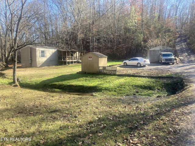 view of yard with a storage shed