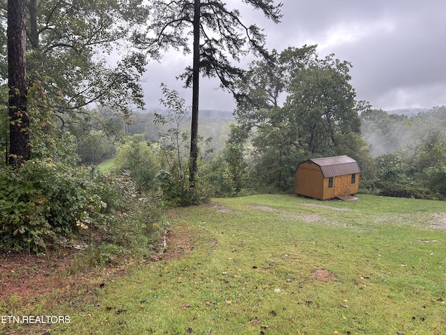 view of yard with a storage shed