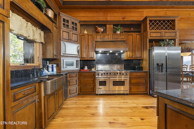 kitchen featuring ventilation hood, sink, light wood-type flooring, appliances with stainless steel finishes, and tasteful backsplash