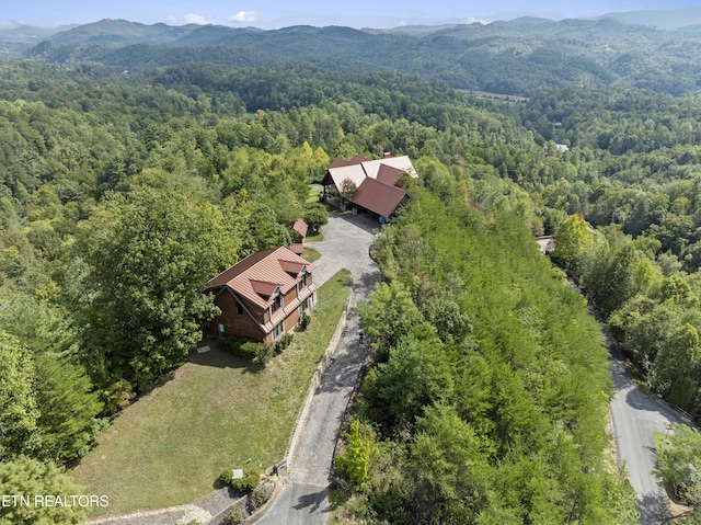 bird's eye view with a mountain view