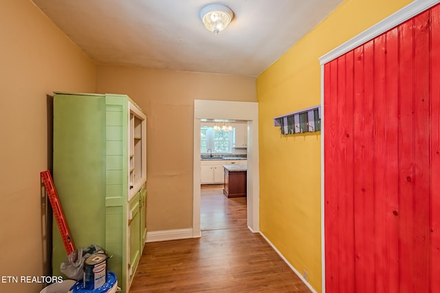 hallway with dark wood-type flooring and sink