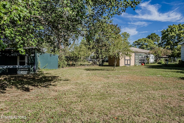 view of yard with a storage unit