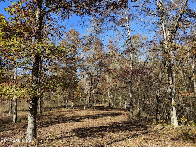 201 Old Ridge Rd, Kingston TN, 37763 land for sale