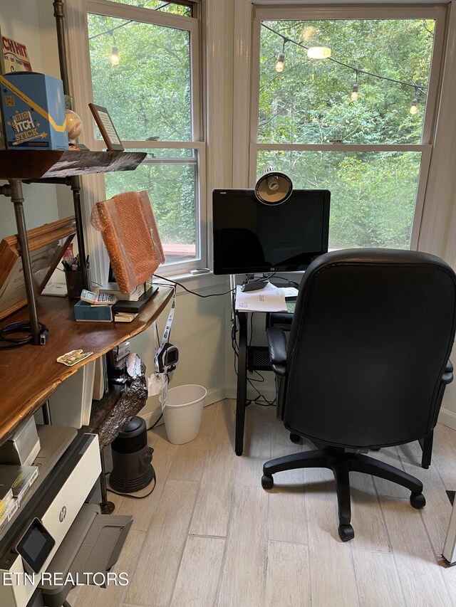 office featuring light hardwood / wood-style floors