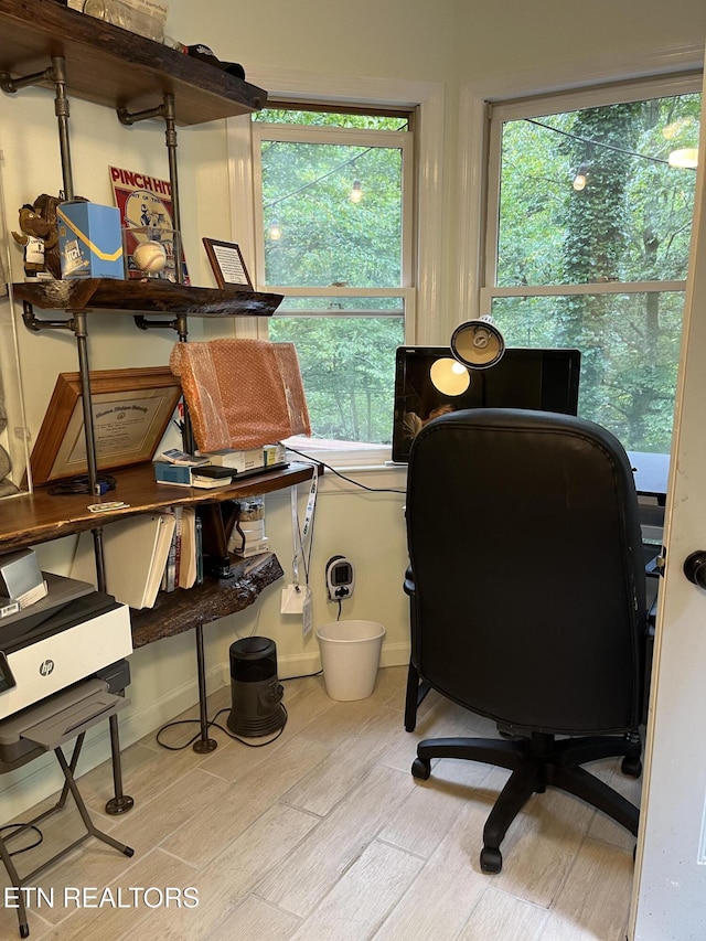 office space featuring a healthy amount of sunlight and light wood-type flooring