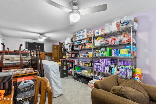 storage area with ceiling fan