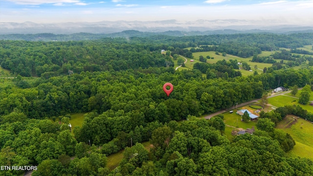 drone / aerial view featuring a mountain view