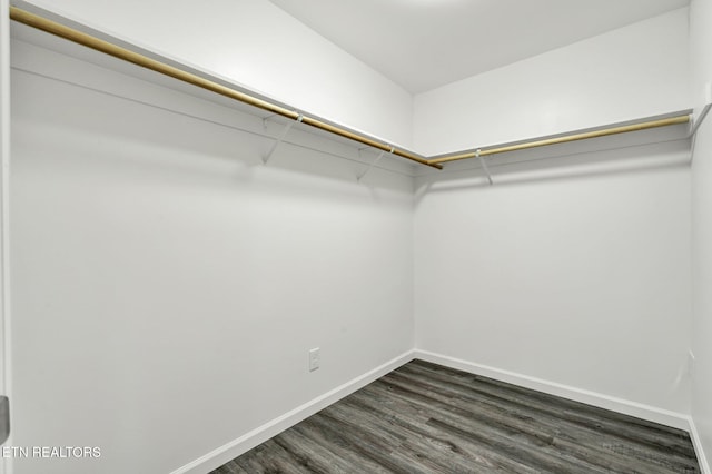 spacious closet featuring dark wood-type flooring