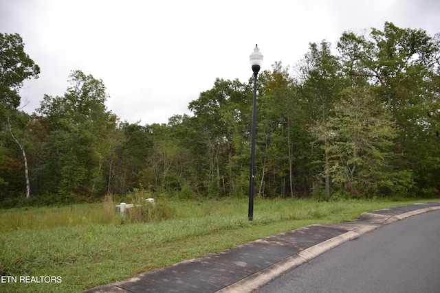 Riverview Dr, Crossville TN, 38555 land for sale