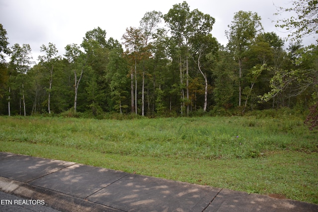 Listing photo 2 for Riverview Dr, Crossville TN 38555