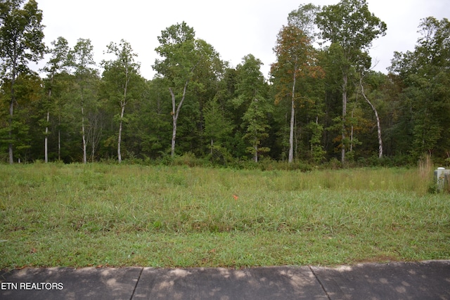 Listing photo 3 for Riverview Dr, Crossville TN 38555