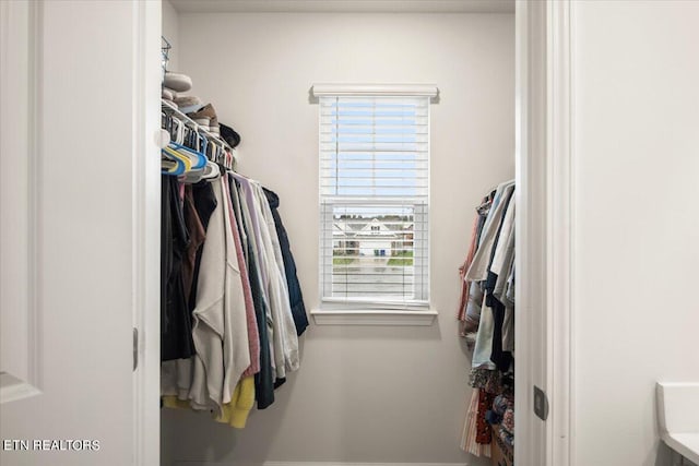 view of spacious closet