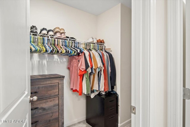 view of spacious closet