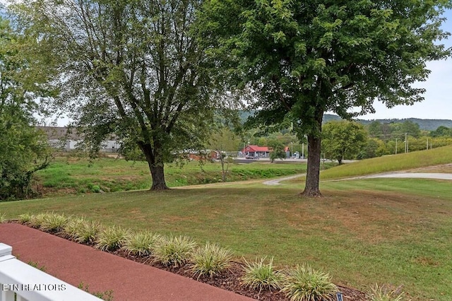 view of home's community with a yard