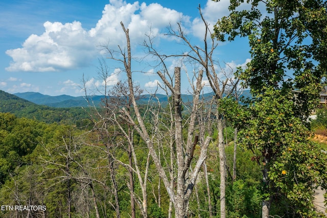 view of mountain feature